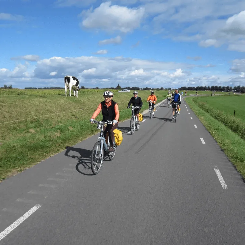 Van Gogh Tours: boekingssite, gemaakt door Project Direct