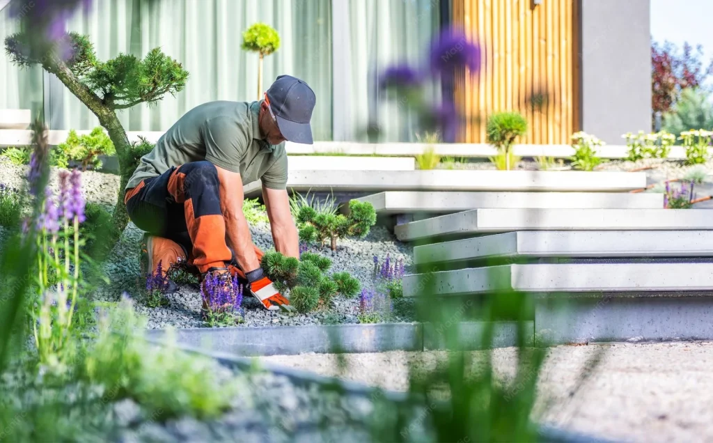 Groen en tuin specialist verzorgt beplanting in aangelegde tuin