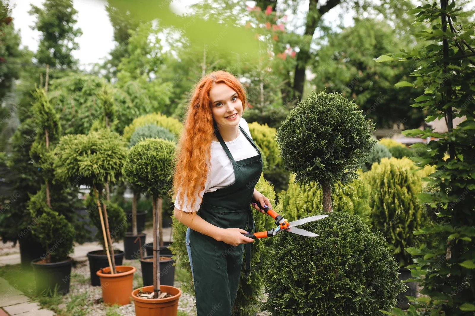Groen en tuin vrouwelijke hovenier met tuinschaar