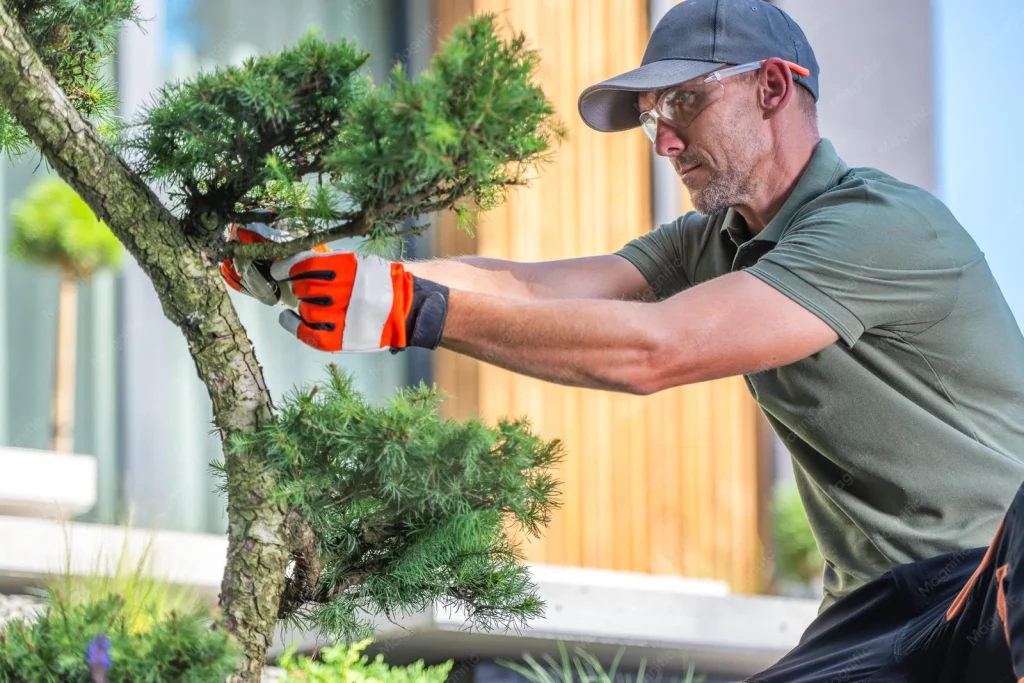 Groen en tuin hovenier snoeit vormboom in moderne tuin
