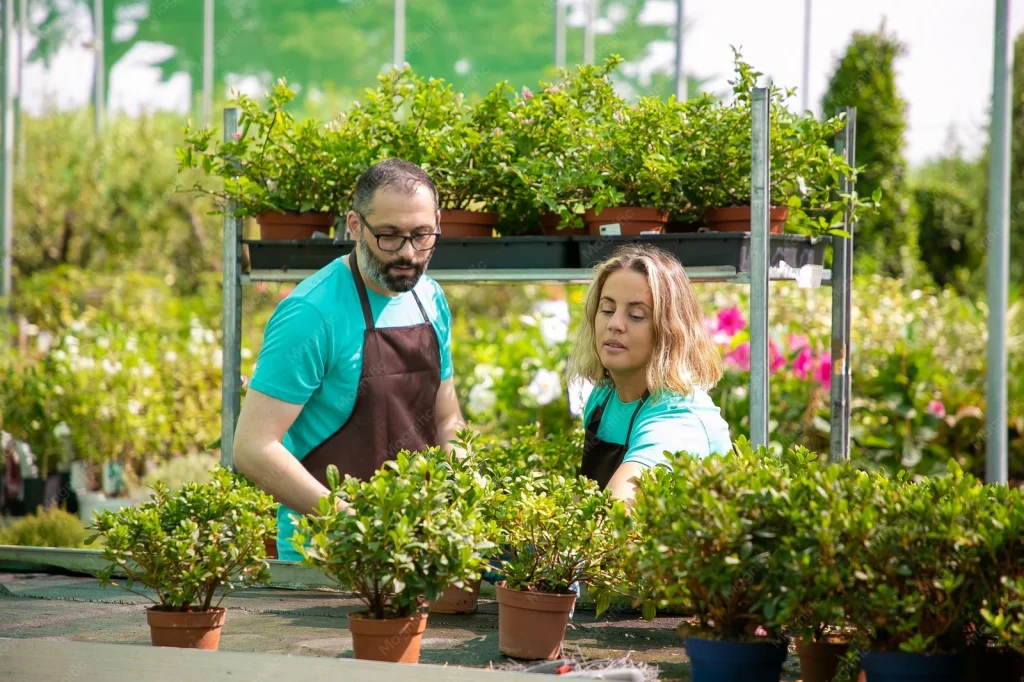Groen en tuin hoveniers verzorgen planten samen