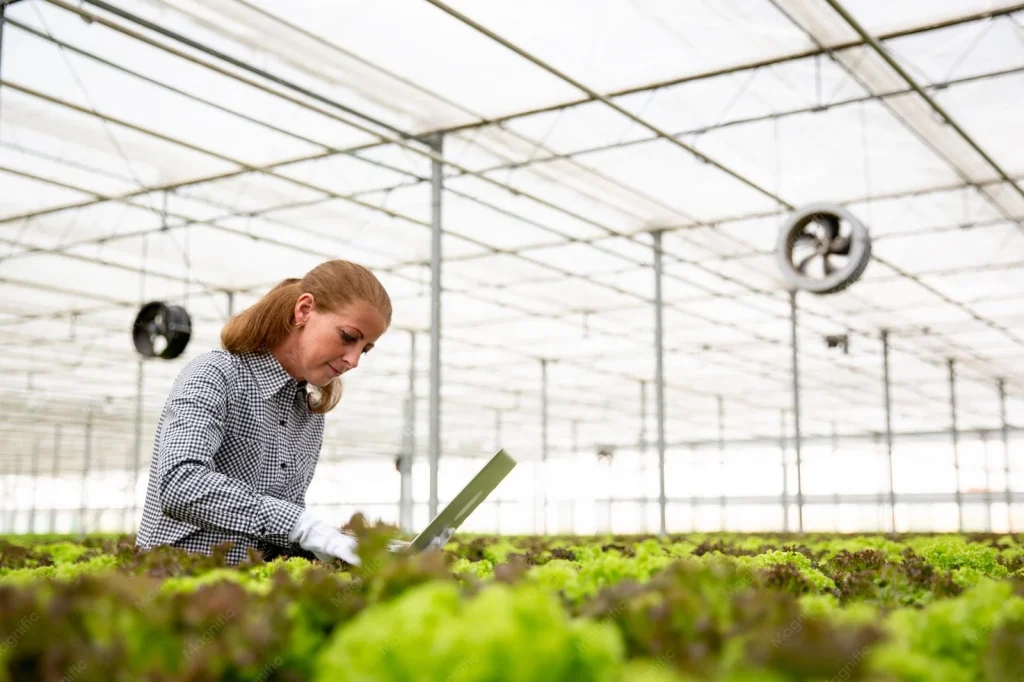 Agrarisch bedrijf met medewerker die teeltgegevens op een laptop bekijkt