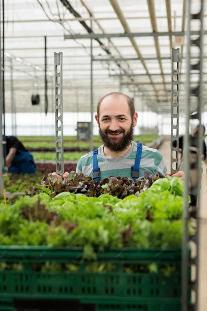 Agrarisch bedrijf met ondernemer en verse producten in een moderne kas