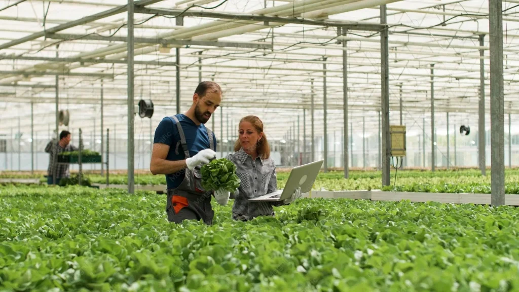 Agrarisch bedrijf waar teler en adviseur de productkwaliteit bespreken