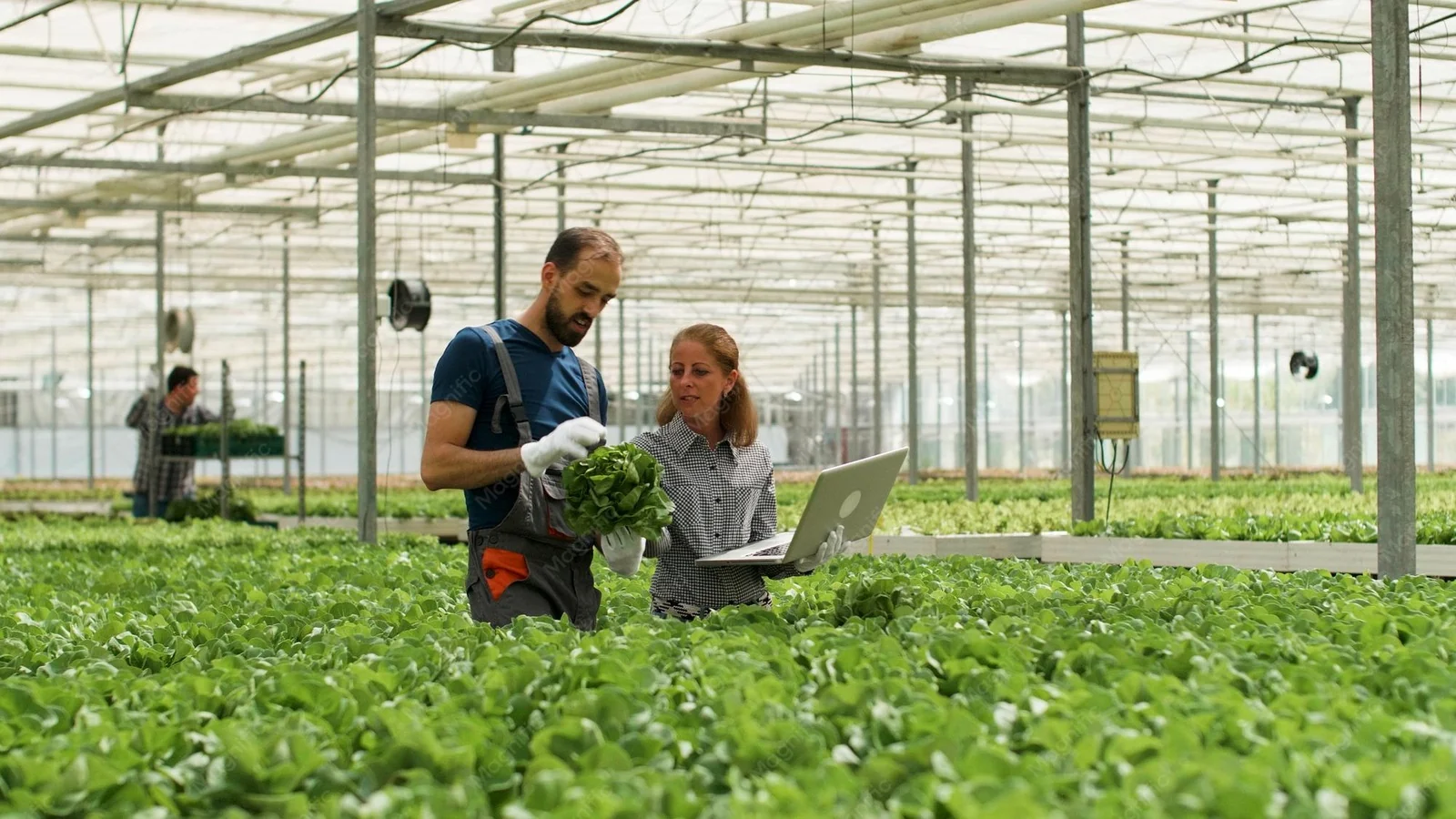 Hoe wordt een agrarisch bedrijf beter vindbaar in Google?
