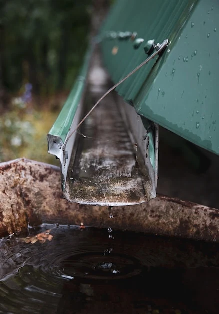Dakgootspecialisten – regenwater veilig afvoeren via de dakgoot